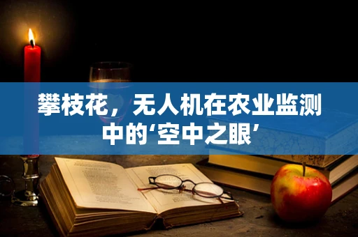攀枝花，无人机在农业监测中的‘空中之眼’
