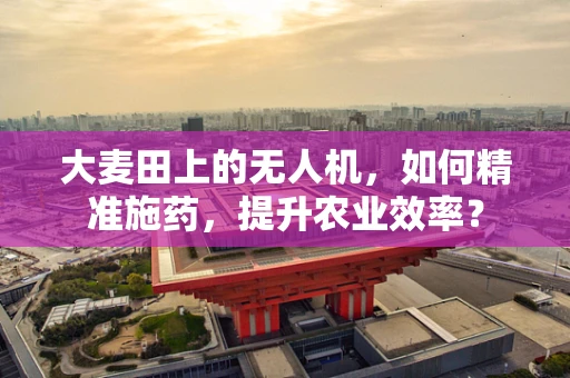 大麦田上的无人机，如何精准施药，提升农业效率？
