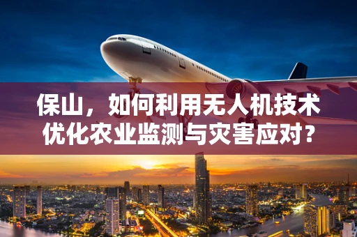保山，如何利用无人机技术优化农业监测与灾害应对？