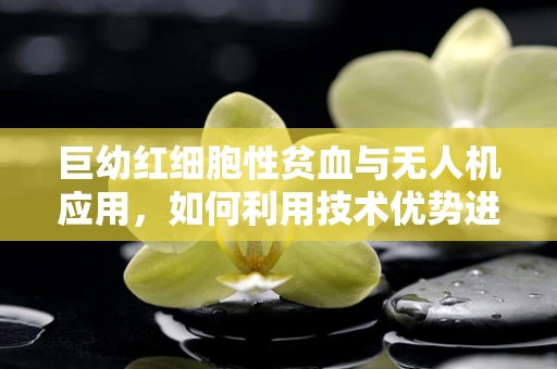巨幼红细胞性贫血与无人机应用，如何利用技术优势进行精准医疗监测？