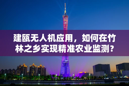 建瓯无人机应用，如何在竹林之乡实现精准农业监测？