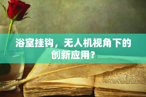 浴室挂钩，无人机视角下的创新应用？