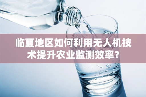 临夏地区如何利用无人机技术提升农业监测效率？
