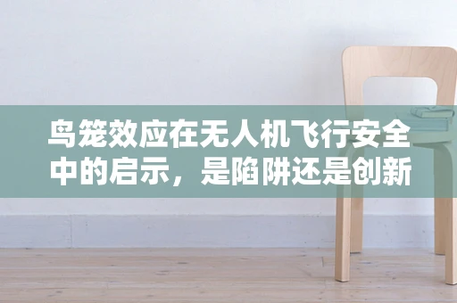 鸟笼效应在无人机飞行安全中的启示，是陷阱还是创新契机？