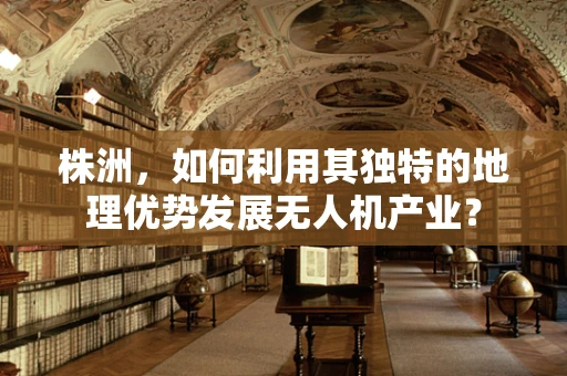 株洲，如何利用其独特的地理优势发展无人机产业？