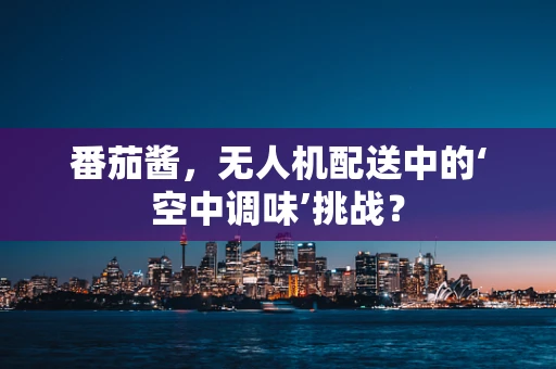 番茄酱，无人机配送中的‘空中调味’挑战？