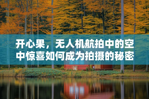 开心果，无人机航拍中的空中惊喜如何成为拍摄的秘密武器？