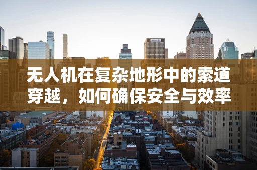 无人机在复杂地形中的索道穿越，如何确保安全与效率？