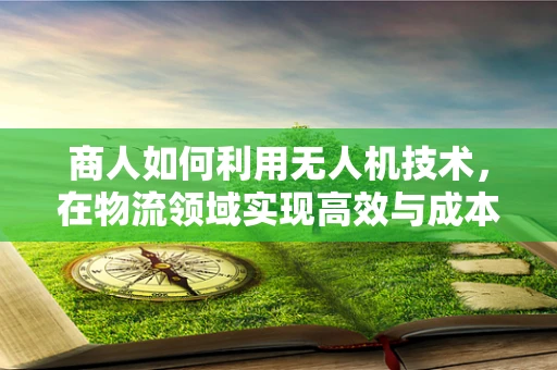 商人如何利用无人机技术，在物流领域实现高效与成本控制的双赢？