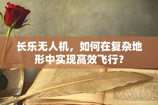 长乐无人机，如何在复杂地形中实现高效飞行？