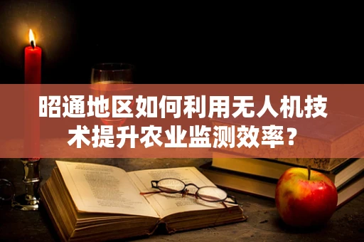 昭通地区如何利用无人机技术提升农业监测效率？