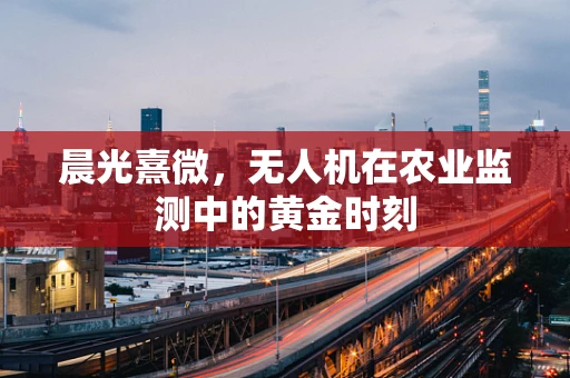 晨光熹微，无人机在农业监测中的黄金时刻