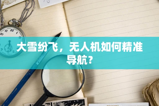 大雪纷飞，无人机如何精准导航？
