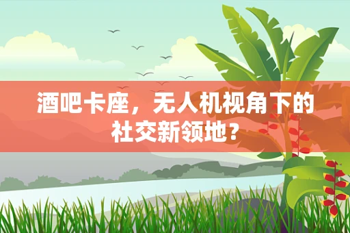 酒吧卡座，无人机视角下的社交新领地？