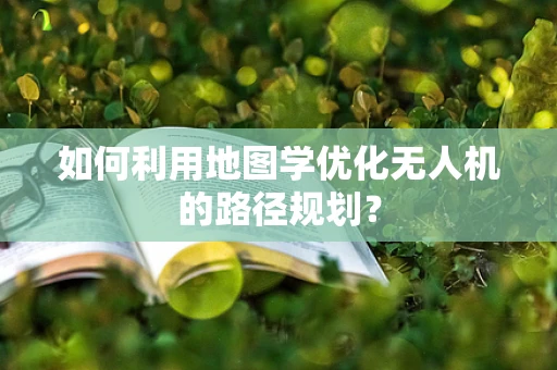 如何利用地图学优化无人机的路径规划？