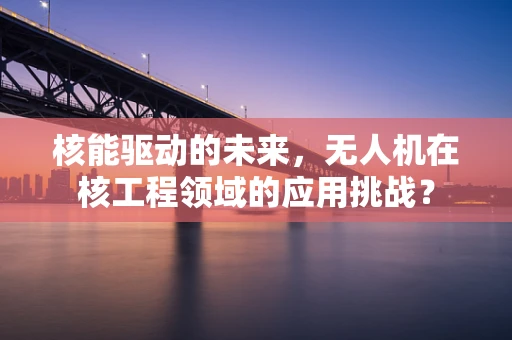 核能驱动的未来，无人机在核工程领域的应用挑战？