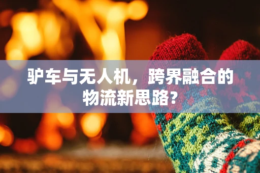 驴车与无人机，跨界融合的物流新思路？
