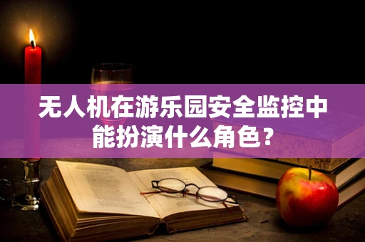 无人机在游乐园安全监控中能扮演什么角色？