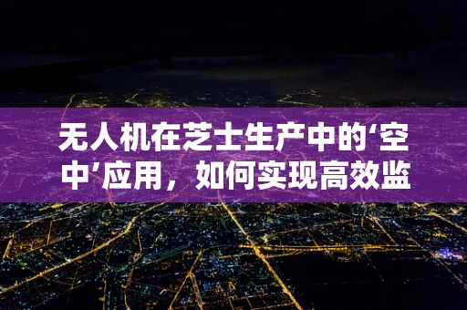 无人机在芝士生产中的‘空中’应用，如何实现高效监控与运输？