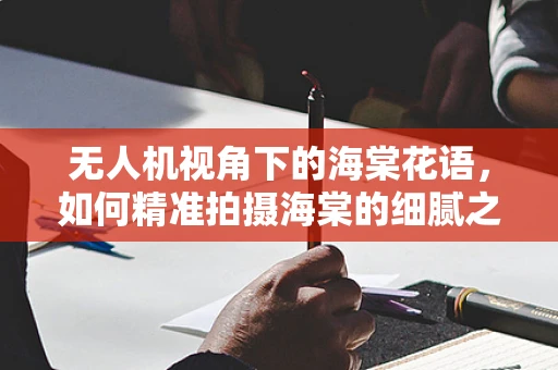 无人机视角下的海棠花语，如何精准拍摄海棠的细腻之美？