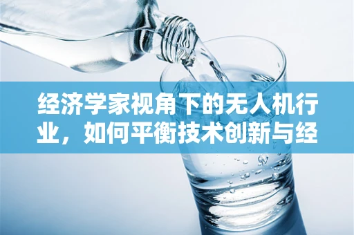 经济学家视角下的无人机行业，如何平衡技术创新与经济成本？