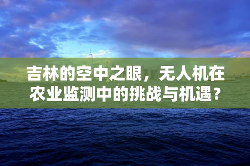 吉林的空中之眼，无人机在农业监测中的挑战与机遇？