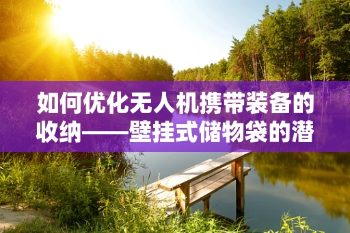 如何优化无人机携带装备的收纳——壁挂式储物袋的潜力与挑战？