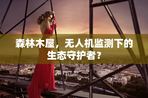 森林木屋，无人机监测下的生态守护者？