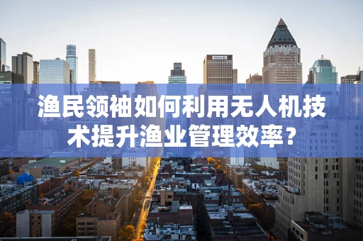 渔民领袖如何利用无人机技术提升渔业管理效率？