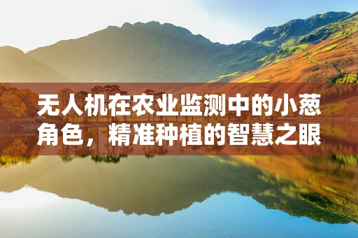 无人机在农业监测中的小葱角色，精准种植的智慧之眼？