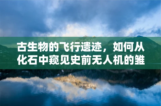 古生物的飞行遗迹，如何从化石中窥见史前无人机的雏形？