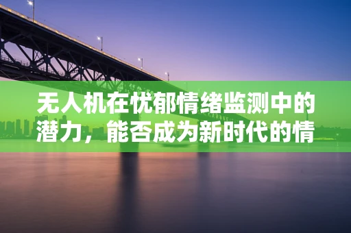 无人机在忧郁情绪监测中的潜力，能否成为新时代的情绪侦探？
