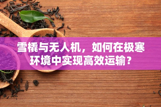 雪橇与无人机，如何在极寒环境中实现高效运输？
