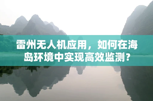 雷州无人机应用，如何在海岛环境中实现高效监测？