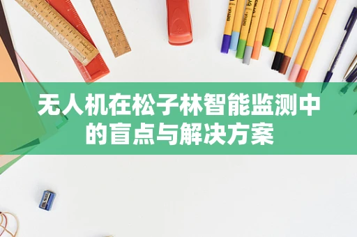 无人机在松子林智能监测中的盲点与解决方案