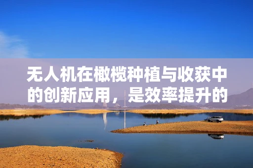 无人机在橄榄种植与收获中的创新应用，是效率提升的空中之钥吗？