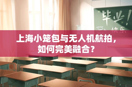 上海小笼包与无人机航拍，如何完美融合？