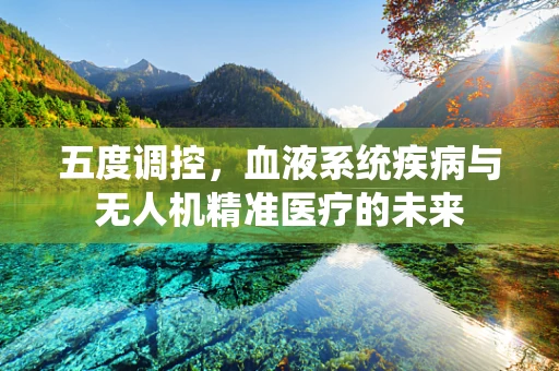 五度调控，血液系统疾病与无人机精准医疗的未来