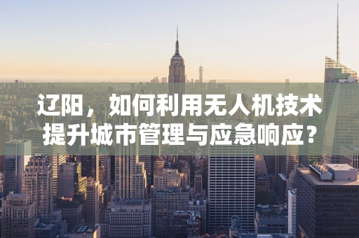 辽阳，如何利用无人机技术提升城市管理与应急响应？