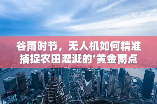 谷雨时节，无人机如何精准捕捉农田灌溉的‘黄金雨点’？