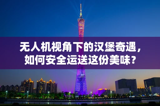 无人机视角下的汉堡奇遇，如何安全运送这份美味？