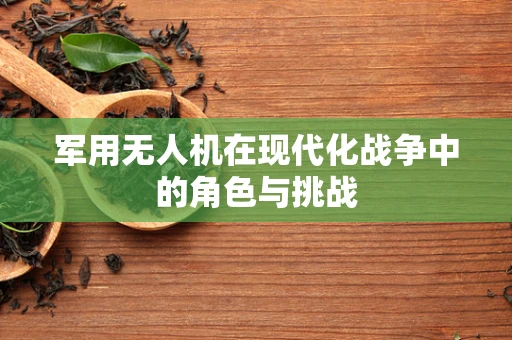 军用无人机在现代化战争中的角色与挑战