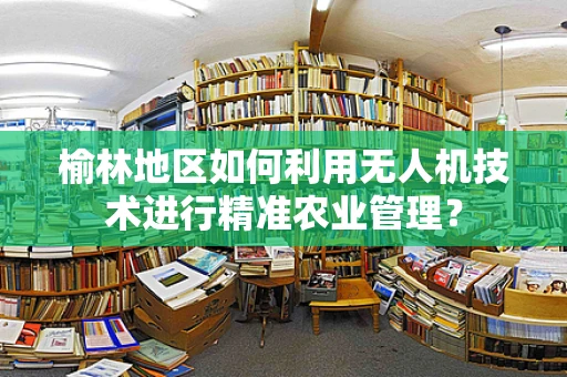 榆林地区如何利用无人机技术进行精准农业管理？