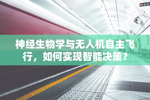 神经生物学与无人机自主飞行，如何实现智能决策？