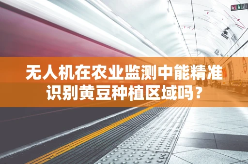 无人机在农业监测中能精准识别黄豆种植区域吗？