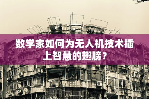 数学家如何为无人机技术插上智慧的翅膀？