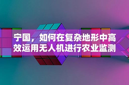 宁国，如何在复杂地形中高效运用无人机进行农业监测？