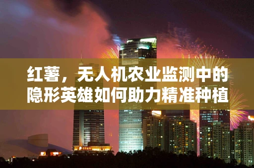 红薯，无人机农业监测中的隐形英雄如何助力精准种植？