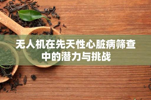 无人机在先天性心脏病筛查中的潜力与挑战