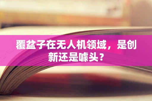 覆盆子在无人机领域，是创新还是噱头？